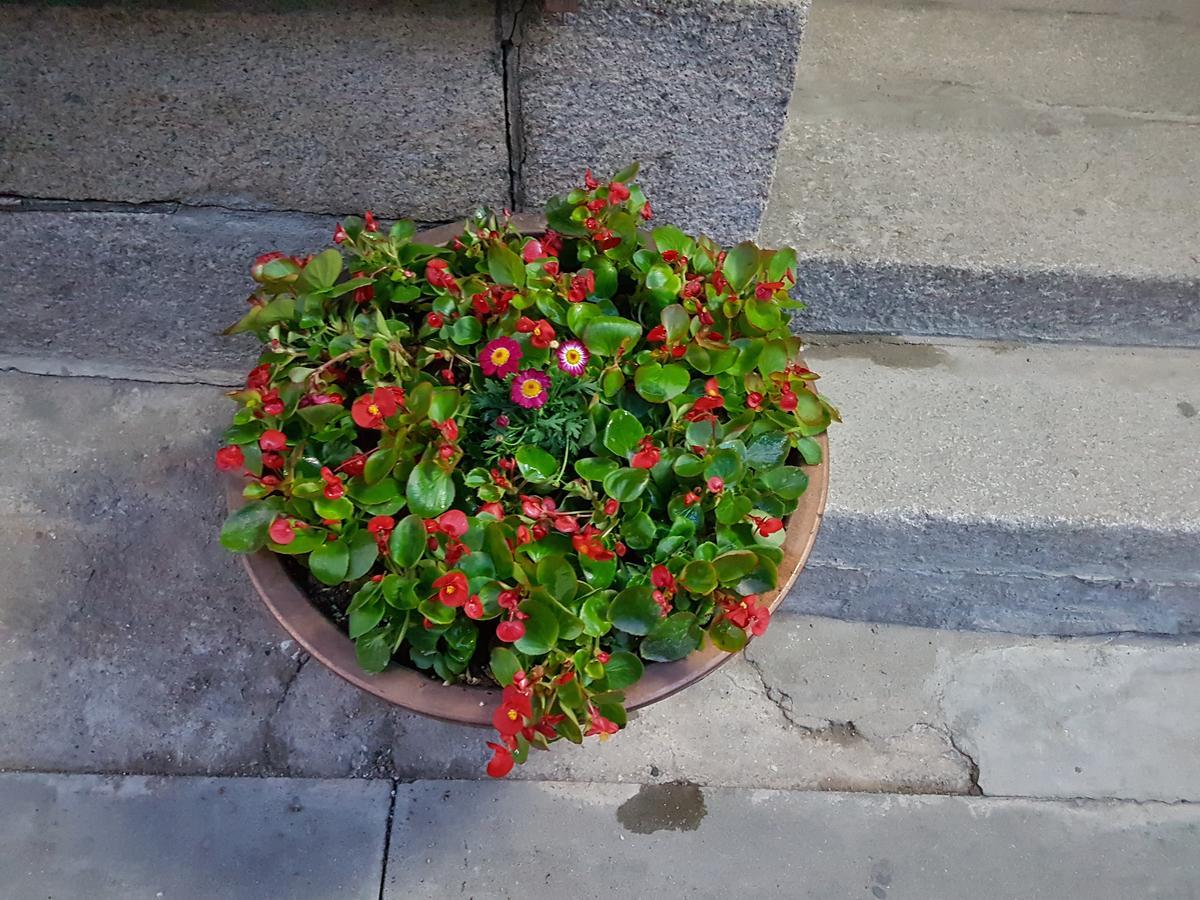 Gongsimga Hanok Guesthouse Seul Dış mekan fotoğraf