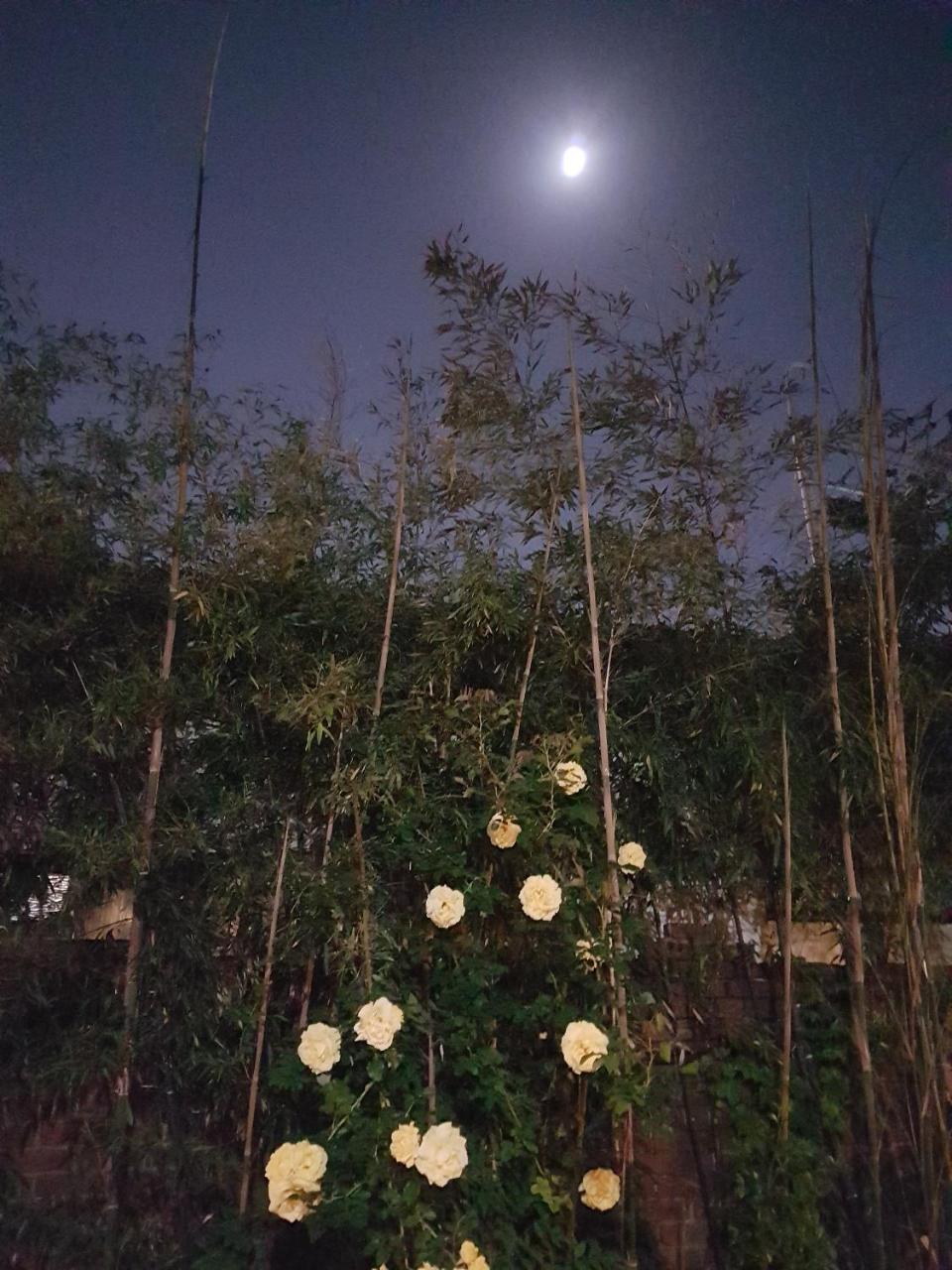 Gongsimga Hanok Guesthouse Seul Dış mekan fotoğraf